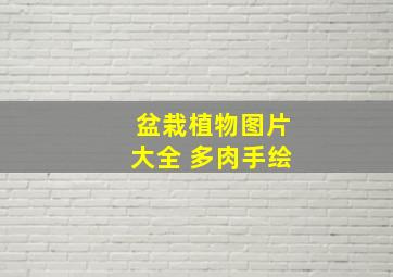 盆栽植物图片大全 多肉手绘